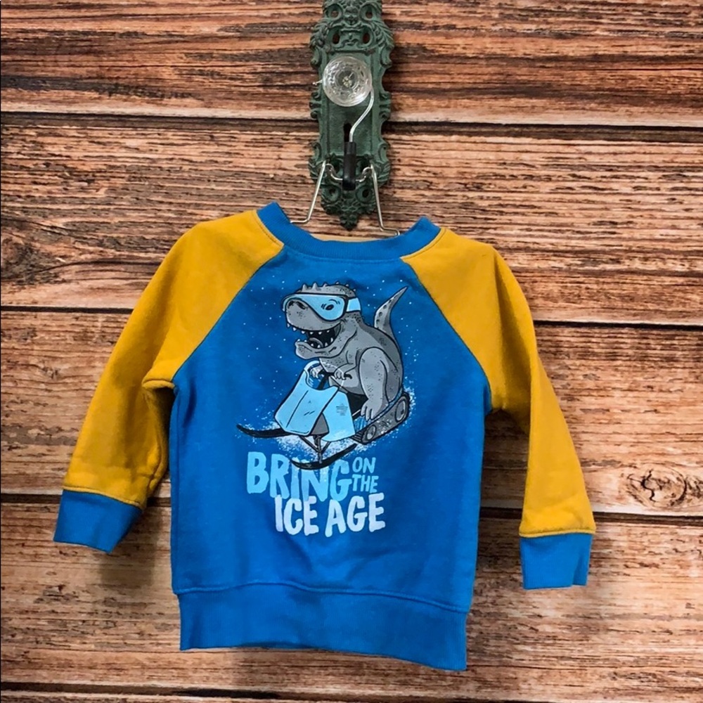 Cat & Jack• Dinosaur Sweatshirt